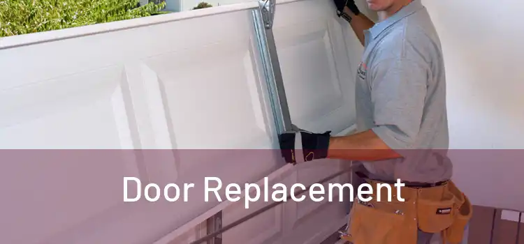  Door Replacement 
