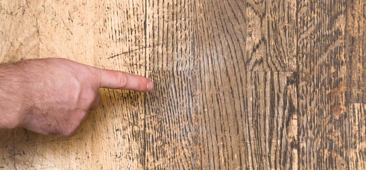 Wood Door Scratch Repair in Topanga
